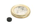 Neodymový magnet kotouč Ø 6 mm, v. 2 mm, v epoxidu, síla 600 g