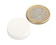 Neodymový magnet kotouč Ø 22 mm, v. 6 mm, bílý, vodotěsný plast, síla 4,1 kg
