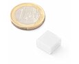 Neodymový magnet kvádr 11,5 × 11,5 × 6,5 mm, bílý, vodotěsný plast, síla 2 kg