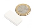 Neodymový magnet kvádr 25,4 × 12,7 × 6,3 mm, bílý, vodotěsný plast, síla 3,8 kg